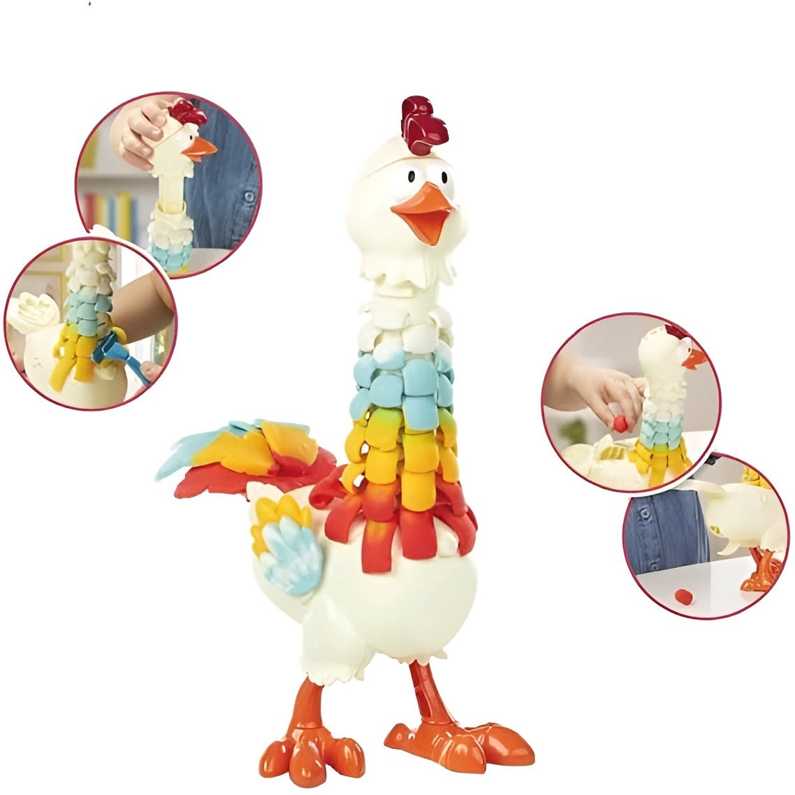 دجاجة الطين الملون - NOIA