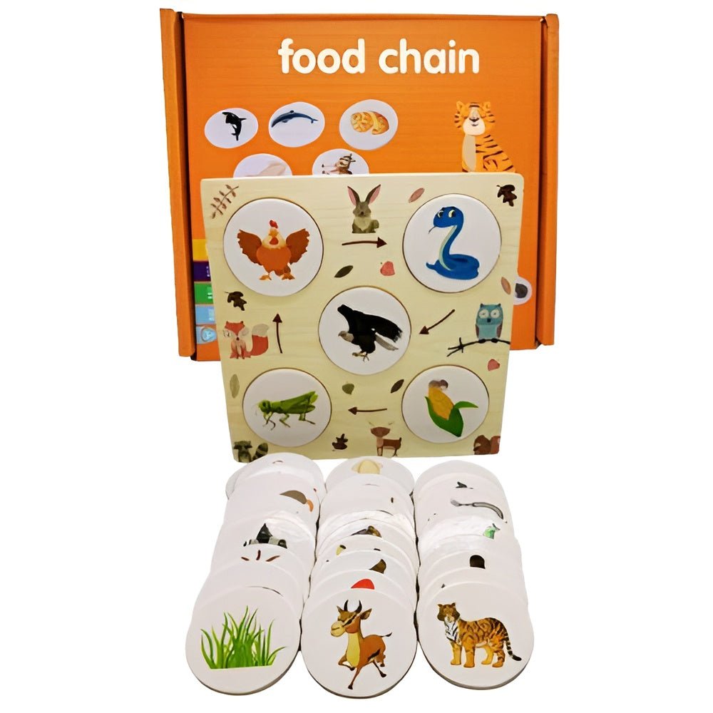 مراحل تسلسل النمو الغذائي - NOIA