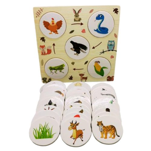 مراحل تسلسل النمو الغذائي - NOIA